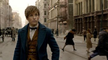 The costume of Norbert Dragon in The Fantastic Animals / Fantastic Beasts