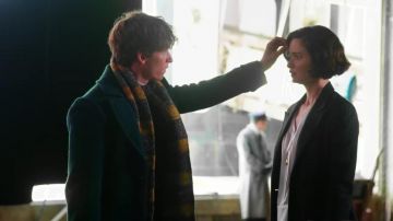 The scarf of Newt Scamander (Ediie Redmayne) in Fantastic Animals