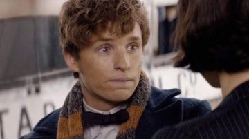 the scarf yellow and grey of Newt Scamander (Eddie Redmayne) in fantastic animals