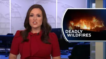 Robe trapèze à manches courtes Maggy London avec cravate portée par Nikki Battiste comme on le voit dans CBS Evening News le 5 février 2024