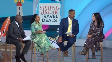 Madison Mathews elizabeth Vestido largo bordado usado por Jacqui Gifford como se ve en Today el 27 de febrero de 2024