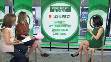 Vestido ajustado sin mangas de Elie Tahari usado por Vicky Nguyen como se ve en Today el 4 de marzo de 2024