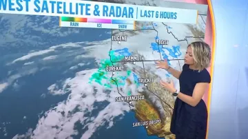 Eliza J Vestido Jacquard Floral Metálico Fit & Flare usado por Dylan Dreyer como se ve en Today el 5 de marzo de 2024