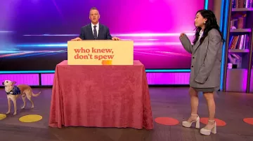 Larroudé Ari Heel worn by Awkwafina as seen in The Drew Barrymore Show on March 15, 2024