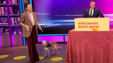 Pantalon évasé taille haute Chloé porté par Drew Barrymore vu dans The Drew Barrymore Show le 15 mars 2024