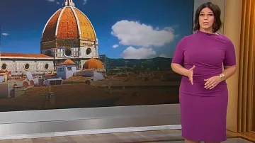 Maggy London Mock Neck Short Sleeve Draped Midi Sheath Dress worn by Dana Jacobson as seen in CBS Mornings on March 30, 2024