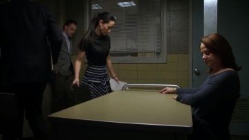 The skirt striped Oscar de la Renta and Joan Watson (Lucy Liu) in Elementary S05E11