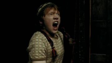 The bonnet motley, Ron Weasley (Rupert Grint) in Harry Potter and the Prisoner of Azkaban