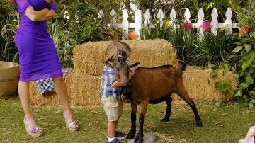 Zapatos de plataforma abierta de Gloria Pritchett (Sofía Vergara) en Modern Family S8E7