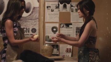 Le top d'Aria Montgomery (Lucy Hale) dans Pretty Little Liars S2E4