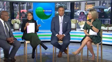 Veronica Beard Greta Minivestido de manga corta con botones en la parte delantera usado por Dylan Dreyer como se ve en Today el 3 de abril de 2024