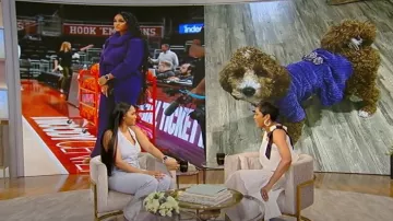 Veronica Beard Jude pantalon de tailleur taille haute porté par Sydney Carter tel qu’on le voit dans Tamron Hall Show le 15 avril 2024