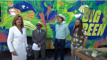 Bcbgmaxazria Double Breasted Fitted Coat worn by Hoda Kotb as seen in Today on April 22, 2024