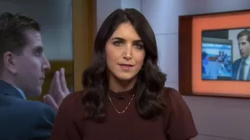 French Connection Vhari Short Sleeve Sweater In Bitter Chocolate worn by Liz Kreutz as seen in Today on May 1, 2024