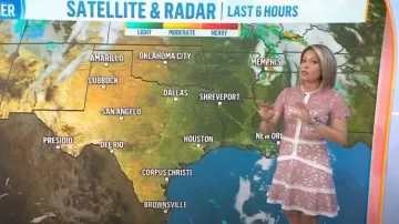 Vestido de Alexis Rustikan usado por Dylan Dreyer como se ve en Today el 6 de mayo de 2024