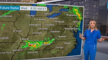 Haut boutonné à manches bouffantes et à col noué Ann Taylor porté par Alex Wilson tel que vu dans CBS Evening News le 7 mai 2024