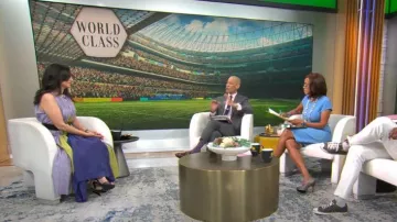 Vestido de panel plisado colectivo Bibhu Mohapatra usado por Celine Gounder como se ve en CBS Mornings el 5 de junio de 2024