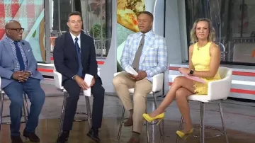 Vestido recto de encaje de Eliza J usado por Dylan Dreyer como se ve en Today el 14 de junio de 2024