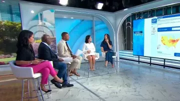Theory Treeca Pant In Carnation worn by Laura Jarrett as seen in Today on June 21, 2024