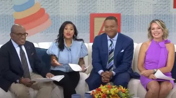 Vestido de línea A con cuello anudado de Vince Camuto usado por Dylan Dreyer como se ve en Today el 25 de junio de 2024