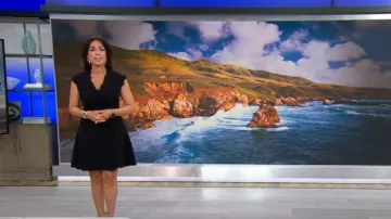 Vestido de tweed con cuello en V de Rebecca Taylor usado por Michelle Miller visto en CBS Mornings el 29 de junio de 2024