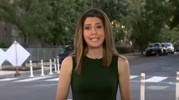 Robe trapèze ceinturée Calvin Klein portée par Nicole Sganga telle qu’elle est vue dans CBS Mornings le 10 juillet 2024