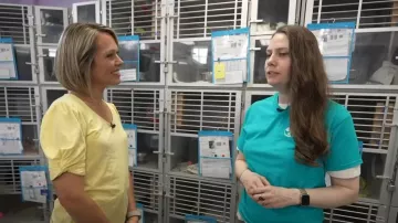 Camiseta Talbots con cuello en V con detalle de giro en Lemon Zest usada por Dylan Dreyer como se ve en Today el 16 de julio de 2024