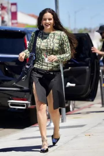 Chopova Lowena Sofia Bag worn by Rosalía in Los Angeles on August 21, 2024
