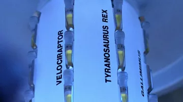 La capsule qui renferme l'ADN de Tyranosaurus Rex dans Jurassic Park