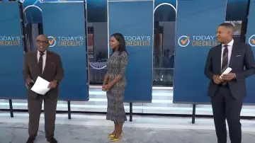 Norma Kamali Turtle Fishtail Dress worn by Michelle Henry as seen in Today on  October 10, 2024