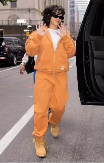 Stussy Double Face Label Hoodie worn by Rihanna in New York City on October 9, 2024