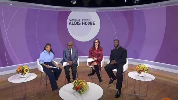 Manière De Voir Relaxed Fit Textured Twin Pleat Tailored Trousers worn by Aldis Hodge as seen in Today on November 11, 2024