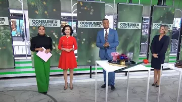 Pantalones Aqua Wide Leg en verde usados por Sheinelle Jones como se ve en Today el 20 de noviembre de 2024