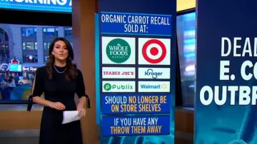 Theory Alvilla Bergen Vestido con mangas anudadas usado por Erielle Reshef como se vio en Good Morning America el 18 de noviembre de 2024