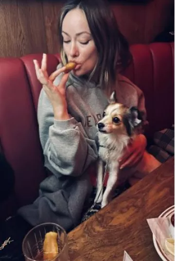 Bolso de juguete acolchado Saint Laurent en piel de cordero acolchada usado por Olivia Wilde en su historia de Instagram el 23 de noviembre de 2024