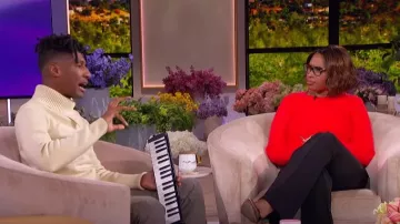 Steve Madden Melissa Sweater worn by Jennifer Hudson as seen in The Jennifer Hudson Show on November 19, 2024