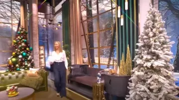 Pantalon large Altuzarra Rudy porté par Lisa Kudrow comme on le voit dans The View le 13 décembre 2024