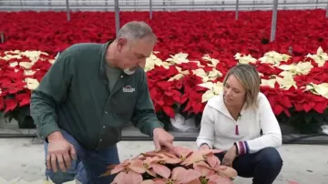 Suéter Talbots Coolmax Half-Zip en Multi Stripe usado por Dylan Dreyer como se ve en Today el 17 de diciembre de 2024