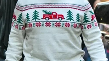 White Sweater of (Arnold Schwarzenegger) in The Man with the Bag