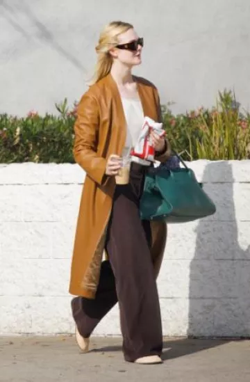 Lunettes de soleil Celine Triomphe Xl 01 en acétate portées par Elle Fanning à Studio City le 23 décembre 2024