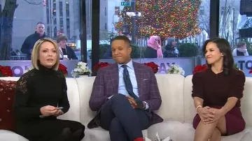 Frame Ruched Puff Sleeve Sweater in Wine worn by Laura Jarrett as seen in Today on  December 23, 2024