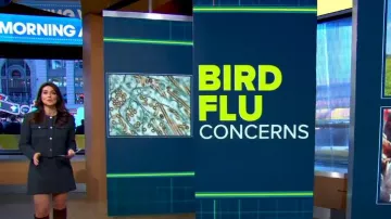 Minifalda de tweed de felpa de Theory usada por Erielle Reshef en Good Morning America el 19 de diciembre de 2024