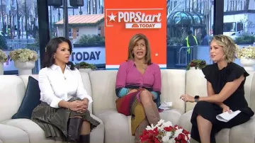 Gal Meets Glam Collection Mono Sybil Flutter Sleeve usado por Dylan Dreyer como se ve en Today el 2 de enero de 2025