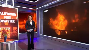 Pantalon en laine à fines rayures Alexander Mcqueen porté par Norah O’Donnell comme on le voit dans CBS Evening News le 8 janvier 2025