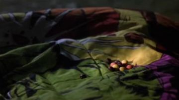 Piezas de Reese utilizadas por Elliott para atraer a E.T. al alienígena