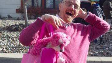 The teddy bear by the pool of Walter White (Bryan Cranston) in the series Breaking Bad (S02E13)