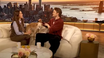 Suéter de mezcla de poliamida marrón JW Anderson usado por Joe Alwyn como se ve en The Drew Barrymore Show el 17 de enero de 2025