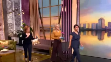 Pantalones de pierna ancha tejidos con cinturón Zimmermann usados por Sara Haines como se ve en The View el 23 de enero de 2025