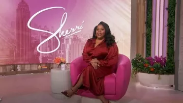Vestido camisero midi con cinturón de Ann Taylor usado por Sherri Shepherd visto en Sherri el 30 de enero de 2025
