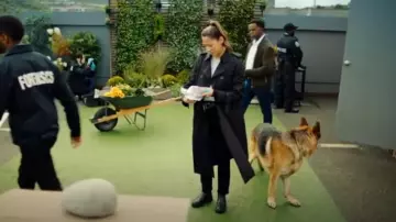 Gabardina de Burberry usada por Sarah Truong (Mayko Nguyen) como se ve en Hudson & Rex (S07E06)